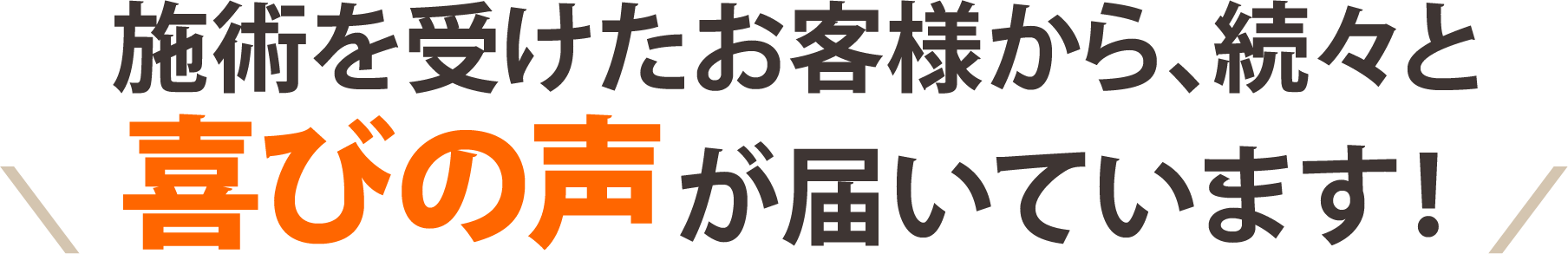 お客様の声