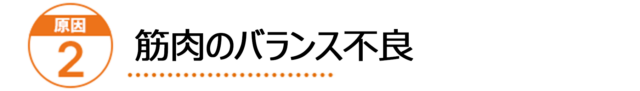 原因2：筋肉量の低下